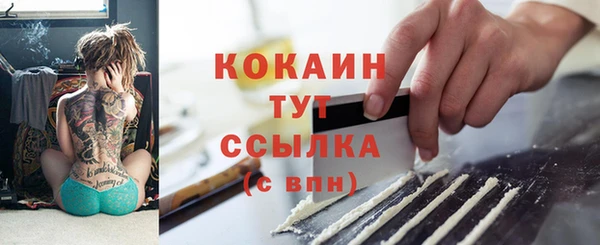 СК Коряжма