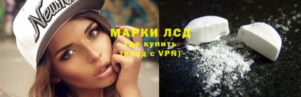 СК Коряжма